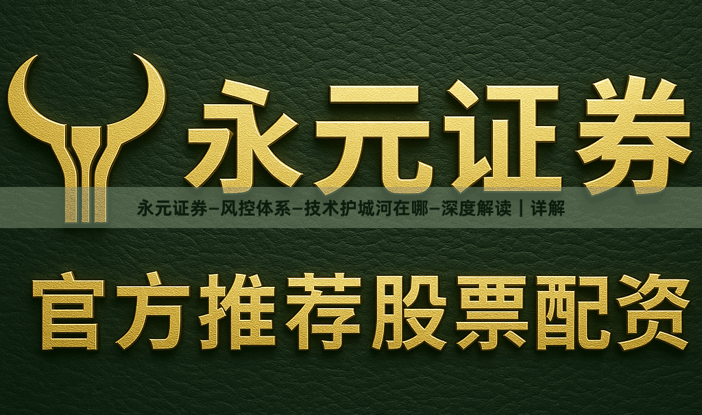 永元证券—风控体系—技术护城河在哪—深度解读｜详解