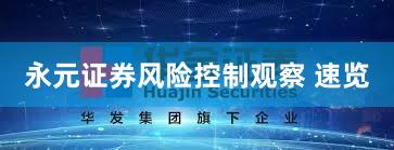 永元证券风险控制观察 速览