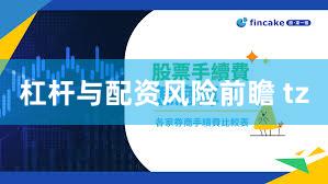 杠杆与配资风险前瞻 tz