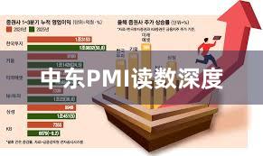 中东PMI读数深度