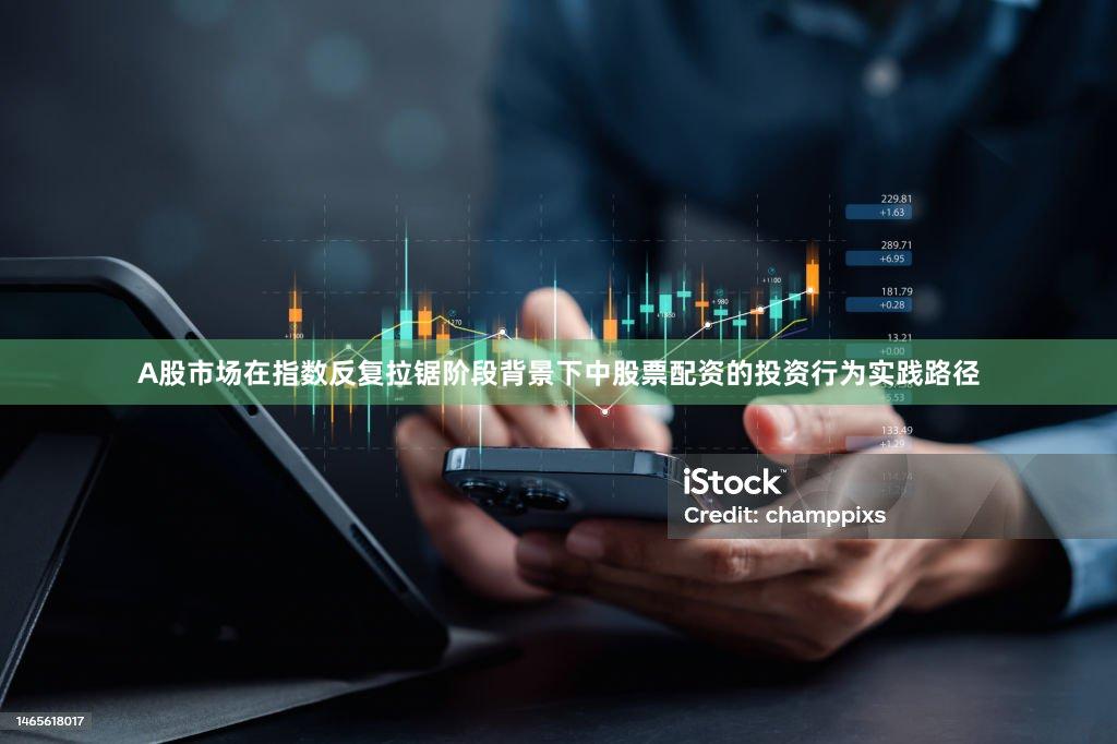 A股市场在指数反复拉锯阶段背景下中股票配资的投资行为实践路径