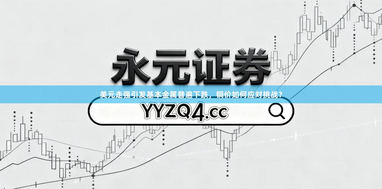 美元走强引发基本金属普遍下跌，铜价如何应对挑战？